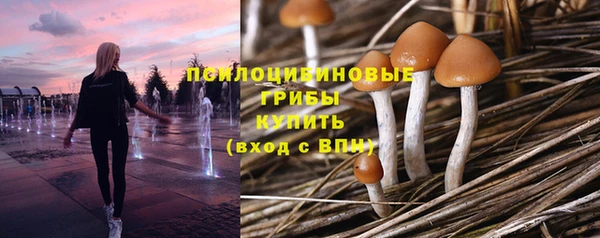 тгк Абинск