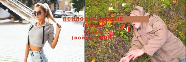 тгк Абинск