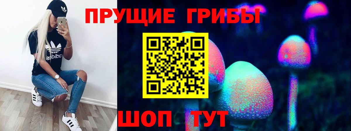 Псилоцибиновые грибы прущие грибы  Вход с VPN  купить   Красноуфимск  Галлюциногенные грибы Psilocybine cubensis 